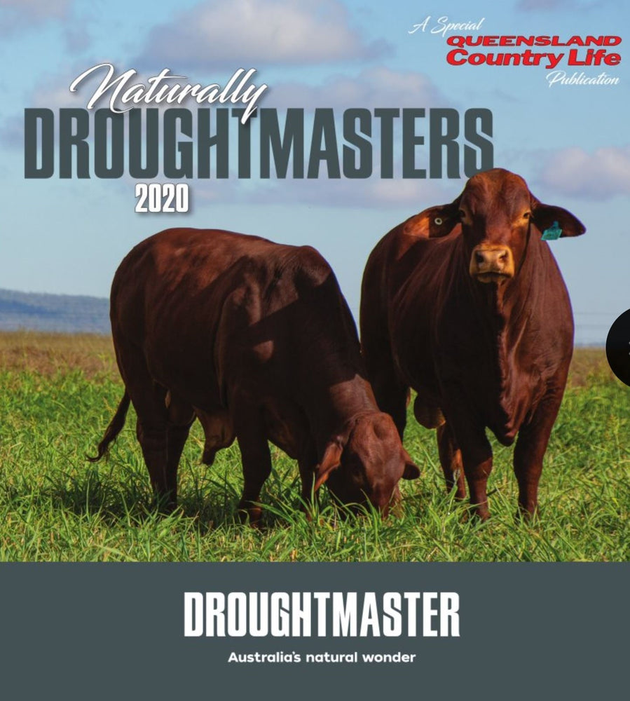 Check us out! Queensland Country Life: Naturally Droughtmasters 2020, pg 13
